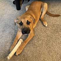 Thumbnail photo of Hendrix #3