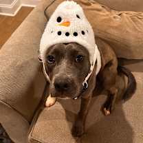 Thumbnail photo of Toast #1