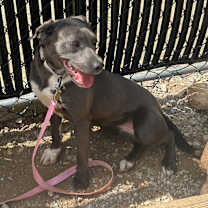 Thumbnail photo of Toast #3