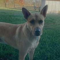 Thumbnail photo of Gia #3