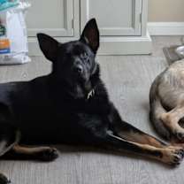 Thumbnail photo of Arlo #2