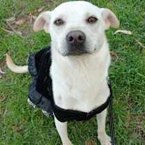 Thumbnail photo of BLANCA #1