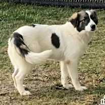 Thumbnail photo of Bethany #3