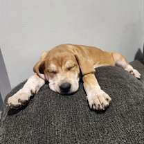 Thumbnail photo of Ilsa #3