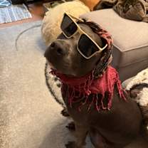 Thumbnail photo of Blu #3