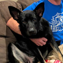 Thumbnail photo of Arlo #4