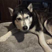 Thumbnail photo of Karma #2