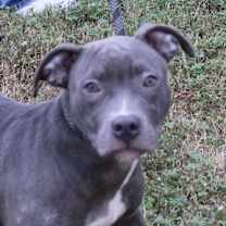 Thumbnail photo of CLAIRE #1