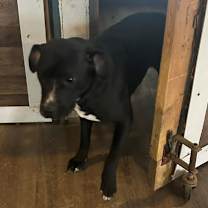 Thumbnail photo of Noelle #2