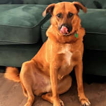 Thumbnail photo of Jellybean #3