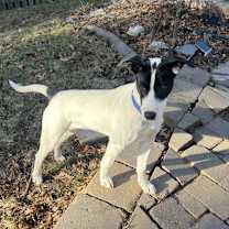 Thumbnail photo of Bravo #3