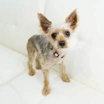 Thumbnail photo of Marcy #1