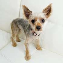 Thumbnail photo of Marcy #2