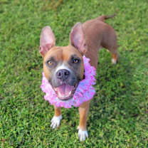 Thumbnail photo of Angel #1