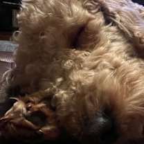 Thumbnail photo of Hampton #2