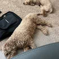 Thumbnail photo of Hampton #4