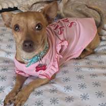 Thumbnail photo of Honey #2