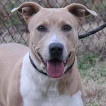 Thumbnail photo of LILY #1