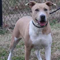 Thumbnail photo of LILY #2