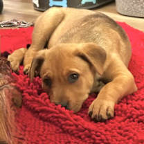 Thumbnail photo of Clyde #2