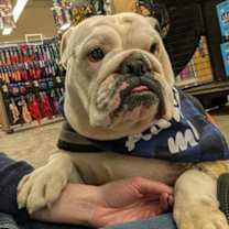 Thumbnail photo of Omaha #1