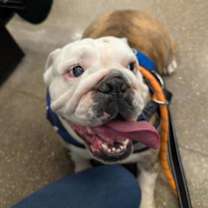 Thumbnail photo of Omaha #2