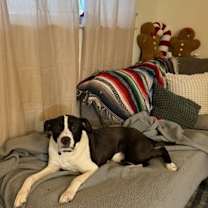 Thumbnail photo of Nala #3