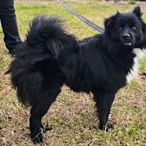 Thumbnail photo of Johnny #2