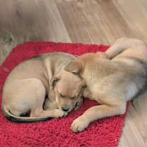 Thumbnail photo of Clyde #3