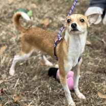 Thumbnail photo of Flash #2