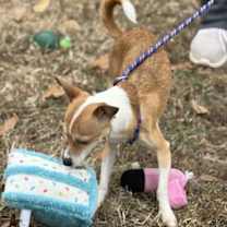 Thumbnail photo of Flash #3