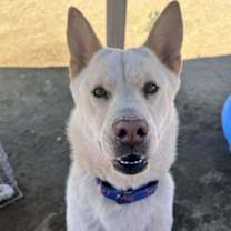 Thumbnail photo of Nellie #1