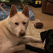 Thumbnail photo of Nellie #2