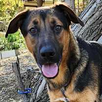 Thumbnail photo of Ping #1