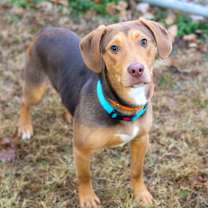 Thumbnail photo of Mike #1