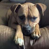 Thumbnail photo of Naomi #3