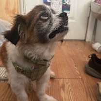 Thumbnail photo of Ricky Bobby #2