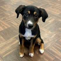 Thumbnail photo of Bernadette #1