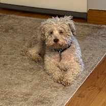 Thumbnail photo of Jim #3