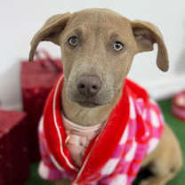 Thumbnail photo of Bonnie #1