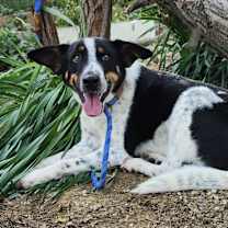 Thumbnail photo of Terri #1