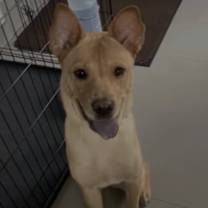 Thumbnail photo of Layla #3