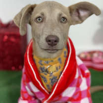 Thumbnail photo of Annie #1