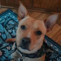 Thumbnail photo of Sasha #1