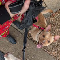 Thumbnail photo of Sasha #4