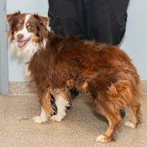 Thumbnail photo of Dylan #2