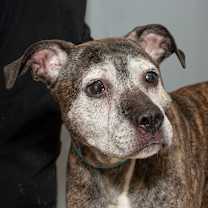 Thumbnail photo of Max #1