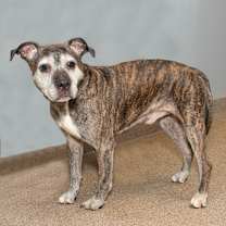 Thumbnail photo of Max #2