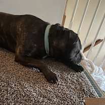 Thumbnail photo of Dakota #3