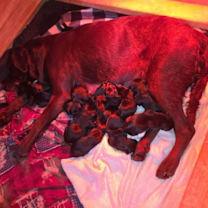 Thumbnail photo of Turkey #4